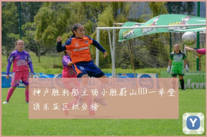 神户胜利船主场小胜蔚山HD一举登顶东亚区积分榜