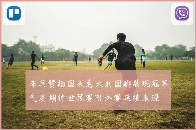 布冯赞扬国米意大利国脚展现冠军气质期待世预赛附加赛延续表现
