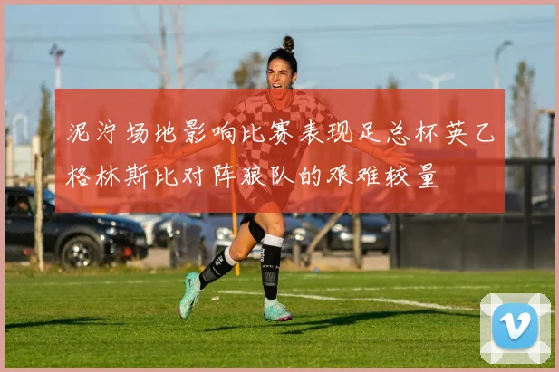 泥泞场地影响比赛表现足总杯英乙格林斯比对阵狼队的艰难较量