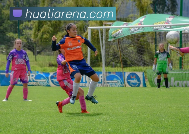 华体会体育服务体系